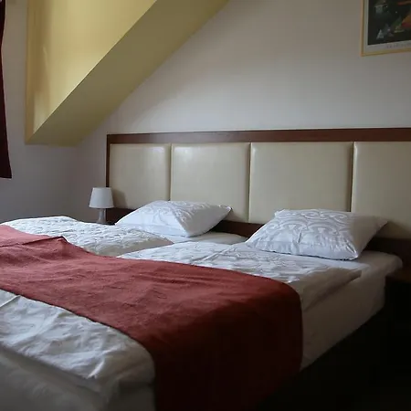 Vendégház A Restaurace U Hroznu 3*